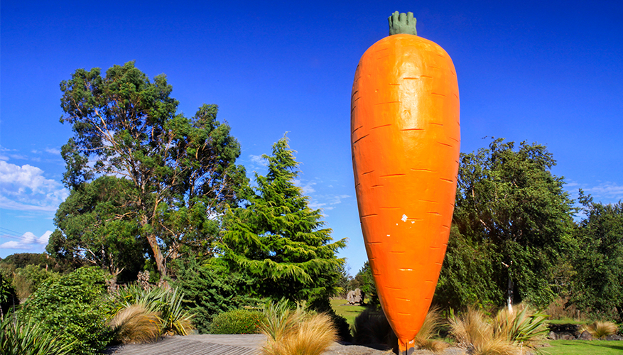 big carrot statue in New Zealand